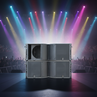 Boîte de haut-parleurs Line Array double 12 pouces 2 voies de haute qualité pour haut-parleur passif intérieur ou extérieur