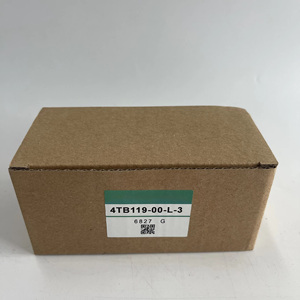 Stock d'entrepôt et qualité supérieure, valve neuve et d'origine 4TB119-00-L-3 - Product Image 1