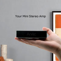A30+ 30W X 2 WiFi Mini Stereo Amplifikatör Kablolu Hoparlörler için Kompakt Gümüş Amplifikatör.