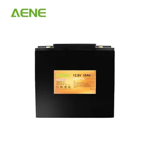 Tragbare Lithium-Eisen-Phosphat-Batterie Wiederauf ladbare Lifepo4 12,8 V 18ah Lithium-Ionen-Batterien