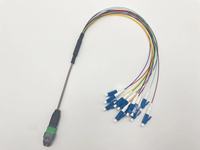 Kabel Serat Optik UPC/APC-UPC/APC SM 9/125 12/24 LSZH untuk Penggunaan Dalam Ruangan 1M