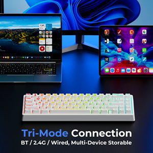 แป้นพิมพ์ M67 xvx Miami Tri-Mode 65% ไร้สาย USB-C qmk/via คีย์บอร์ดเล่นเกมแบบสลับร้อนสามารถตั้งโปรแกรมได้ RGB Mechanical - Product Image 3