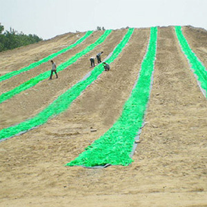 Glissade <span class=keywords><strong>de</strong></span> <span class=keywords><strong>ski</strong></span> sur herbe en PE, modèle populaire pour attractions touristiques, plateformes d'observation des oiseaux et divertissement familial - Product Image 1