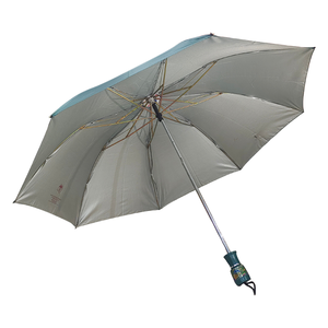 Green 2 Fold <b>Umbrella</b> Compact Lightweight Travel Rain <b>Umbrella</b> for Men and Women with Strong Wind Resistant Frame - Product Image 3