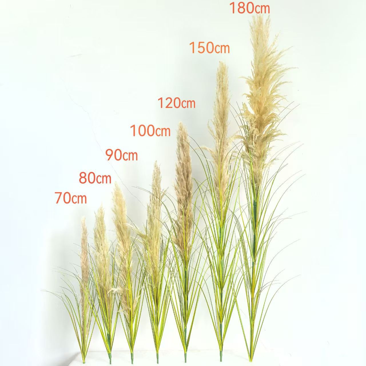 สไตล์ใบไม้สีเขียวฤดูใบไม้ร่วงหัวขาว