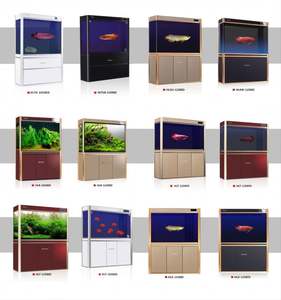 Mini aquarium carré en verre, accessoires pour aquarium, table basse, aquarium d'<span class=keywords><strong>eau</strong></span> salée, aquarium <span class=keywords><strong>de</strong></span> bureau personnalisé à <span class=keywords><strong>vendre</strong></span> - Product Image 4