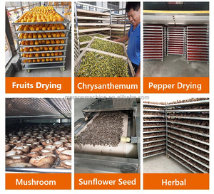 Deux types de séchoir avec soufflage d'air inférieur ou soufflage d'air circulaire pour sécher les aliments Légumes Fruits - Product Image 6