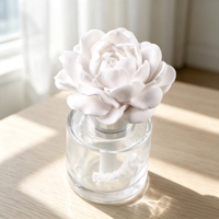 Diffuseur d'huiles essentielles en céramique de porcelaine faite à la main, flacon en verre de 50 ml, parfum d'ambiance pour la maison, désodorisant en plâtre aromatique floral, vente en gros