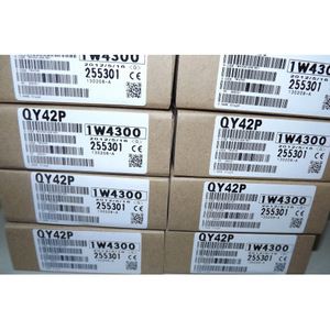 Módulo de Salida Digital Qy42p de 24 Puntos Ip54 para Automatización Industrial - Product Image 1