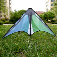 Cerf-volant de voltige personnalisé pour sports de plein air, écologique, unisexe, double ligne, motif bleu-vert, polyester, fibre de verre/carbone massif