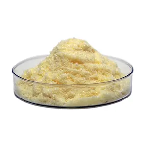 Bontac Nadh CAS 606-68-8高质量纯98% 烟酰胺腺嘌呤二核苷酸还原型粉末nadh