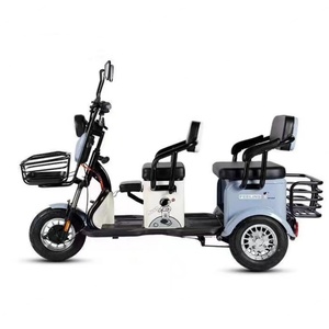 Triciclo Eléctrico de 800 W Fabricado en China, Triciclo Eléctrico de Tres Ruedas para Adultos, para Compras - Product Image 5