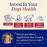 Fournisseurs de friandises et de compléments alimentaires pour chiens, sous marque privée OEM/ODM, à base de probiotiques naturels, pour la santé intestinale des animaux de compagnie