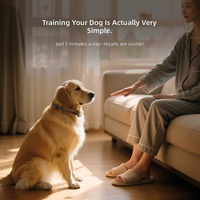 Wasserdichter Wiederaufladbarer Elektrischer Schock- und Vibrations-Hundetrainer mit Smart-Modus für Tägliches Training und Verhaltenskorrektur