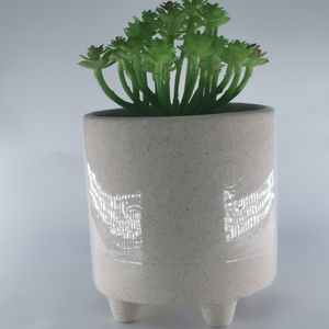 Witte Geglazuurde Keramische Bloempot Met Voeten Sappige Plantenbak Voor Huis-En Tuindecoratie - Product Image 3