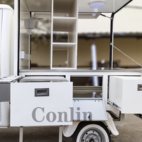 Mini camion de crème glacée motorisée à 3 roues, avec vélo, vannes refroidies