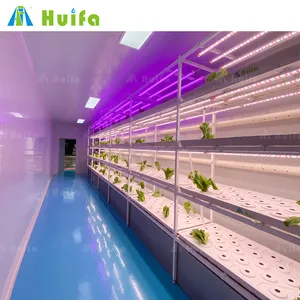Turnkey Project Vertical Farming Container Greenhouse Supplies Mushroom Growing Shipping Container Farm