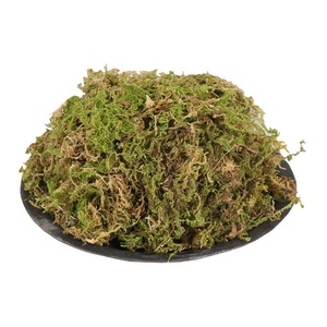 Emballage personnalisé mousse sèche naturelle papillon orchidée Dendrobium semis plante nutriment sol mousse Sphagnum <span class=keywords><strong>tortue</strong></span> tapis d'hibernation - Product Image 6