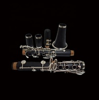 Wholesale Production Musical Instrument B-grade Clarinet Made of Bakelite Material with Beautiful Sound
