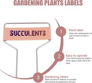 Étiquettes de <span class=keywords><strong>plantes</strong></span> modernes Vaguelly Étiquettes de jardin pour <span class=keywords><strong>identifier</strong></span> les fleurs Légumes <span class=keywords><strong>Plantes</strong></span> en pot Facile à insérer Déplacer Fil de fer en cuivre - Product Image 6