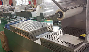 Máquina Automática de Envasado al Vacío para Filetes de Pescado, Tilapia, Caballa y Pangasius - Product Image 4