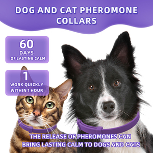 Verstelbare kattenkalmerende feromoonhalsband met effen patroon, natuurlijke ingrediënten, TPR-materiaal, vermindert angst - Product Image 6