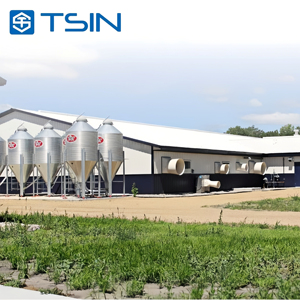 Tsin thiết kế thực tế chống gió & tuyết đẹp & an toàn lắp đặt chuồng gà đơn giản cho các trang trại - Product Image 1