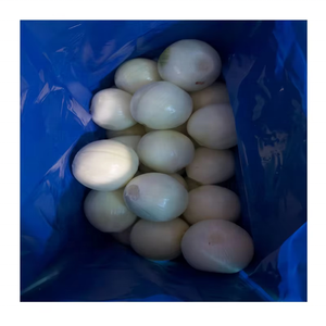 Exportación Nueva Temporada Cebolla Pelada Precio Tamaño Grande Rojo Redondo Cebolla Pelada Orgánica Fresca - Product Image 3