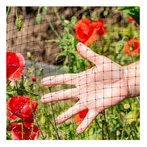 Vogel netz Hersteller Großhandels preis Premium Qualität Weinberg Pflanzens chutz Anti Vogel netz Vogel netz zum Verkauf - Product Image 5