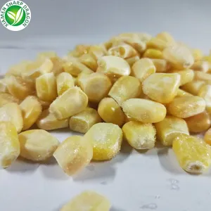 IQF Export Großhandel kaufen Rabatt Preis Bulk iqf gefroren Zucker mais kerne