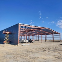 Nave Prefabricada Económica para Granjas, Gallineros, Ovejas, Ganado, Cerdos, Caballos, Taller Metálico, Fábrica, Almacén, Estructura de Acero