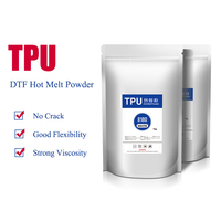 Matériaux d'impression numérique par transfert à chaud très demandés : Poudre DTF prétraitée imperméable de 1 kg pour l'impression sur tissu