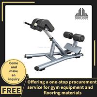 Appareil de musculation pour l'extension dorsale, hyperextension FF45, équipement de fitness pour salle de sport commerciale et à domicile, machine d'hyperextension de luxe pour le sport