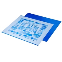 Plaque CTP thermique pour développeur de type similaire CXK et Kodak
