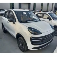 Vehículo Eléctrico Compacto LTL de Cero Emisiones, Elegante, Práctico e Inteligente, de Cuatro Ruedas, 4 Asientos, Autonomía de 301-400 km, Motor de 3500 W, Familiar
