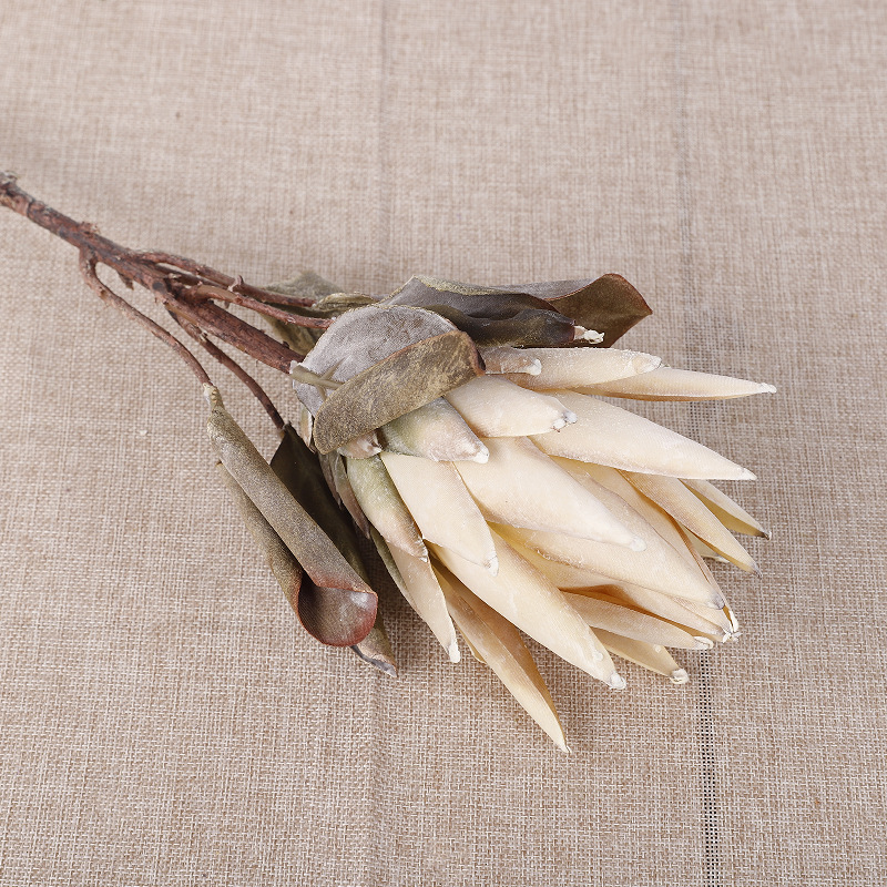 Small King Protea [White]