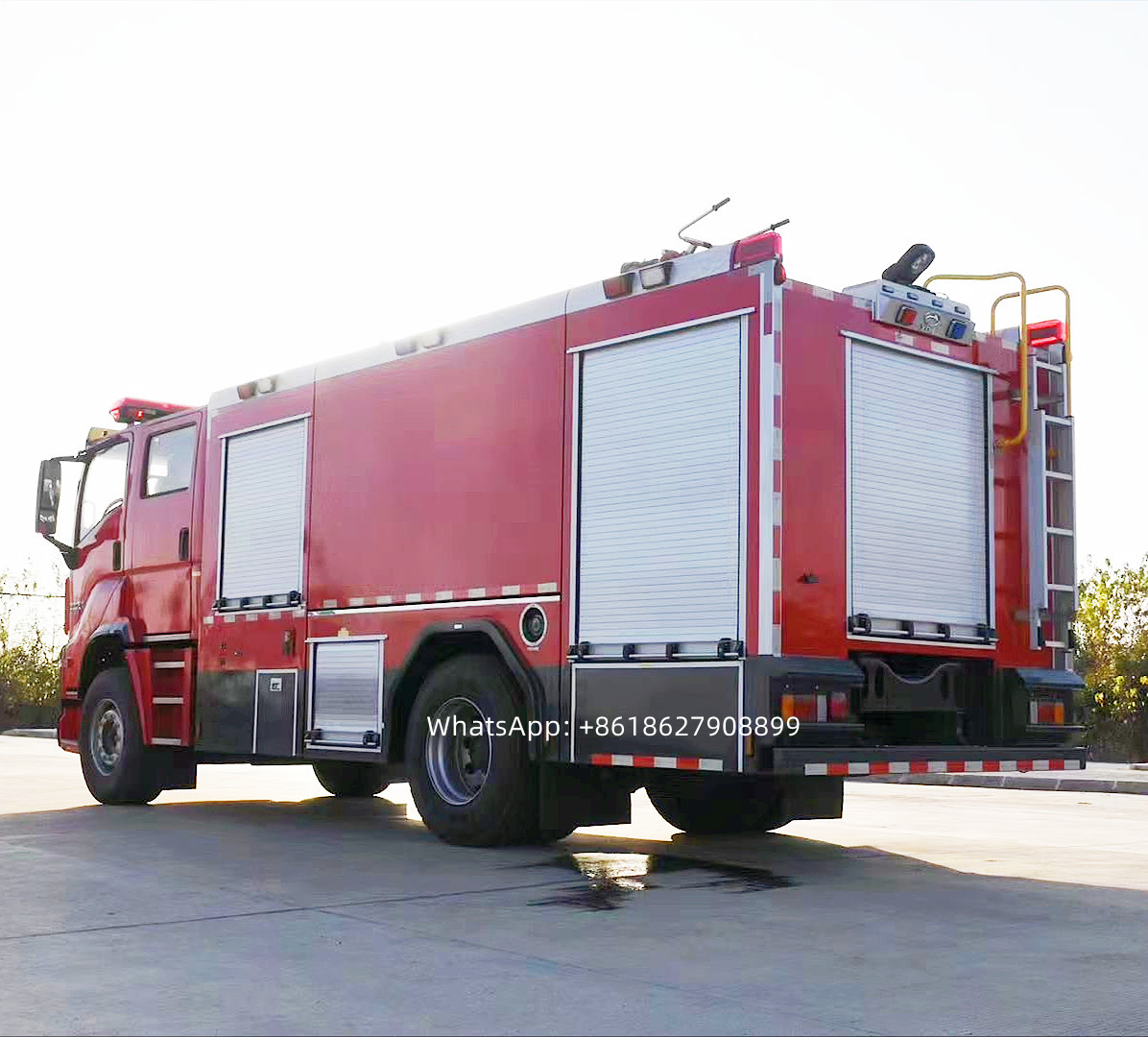 海ぶどう, forest fire セット 海ぶどう, forest fire セット 海ぶどう, forest fire セット