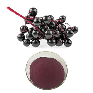Top Quality Elderberry สารสกัดจาก5:1 10:1 20:1อาหารเสริมบริสุทธิ์สารสกัดจาก Elderberry ผงอาหารเพื่อสุขภาพ - Product Image 1