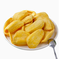 Vacuümgefrituurde Jackfruit Chips Puur Natuurlijk Zonder Extra Toevoegingen Knapperige Tropische Fruitsnack voor Groothandel