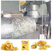 Nouvelle ligne automatique de fabrication de frites surgelées, machine à chips de pommes de terre fraîches, acier inoxydable 304, 250 kg/h, haute efficacité