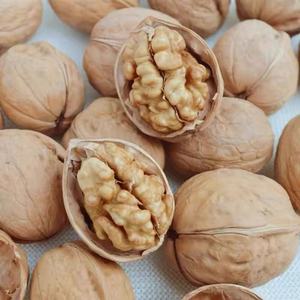 Nueces Grandes Asadas con Cáscara, Naturalmente Crujientes, con Alto Aroma, Calidad Premium para Refrigerios, Repostería, Cocina y Despensa Diaria - Product Image 6