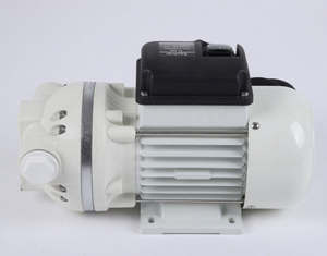 RANKING FL82 110V AC 25 PSI Bomba de diafragma de alta calidad 40LPM Bomba dispensadora química de presión autocebante para base ácida - Product Image 1