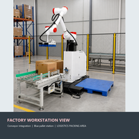 Robot palettiseur pour l'emballage de cartons de 30 kg, pour la manutention de cartons et le chargement de palettes en entrepôt