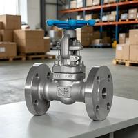 Válvula de Compuerta de Acero Fundido de Alta Calidad con Vástago Ascendente y Asiento Resiliente, con Acabado de Acero Inoxidable 304, Directo de Fábrica
