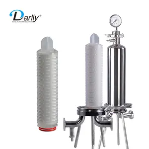 Boîtier de filtration de liquide Darlly, en acier inoxydable, avec cartouche filtrante plissée s304, haute débit pour traitement de l'eau des déchets