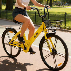 कम कीमत के स्टॉक शहर ई बाइक 36 वी 250 डब्ल्यू इलेक्ट्रिक सिटी बाइक - Product Image 3