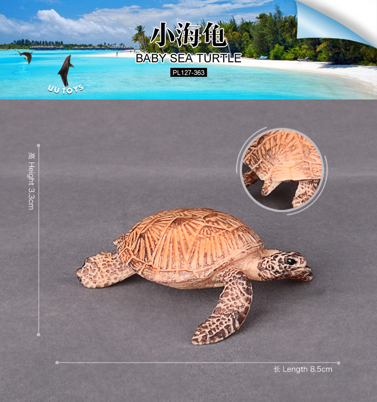 363 Tortue de Sèche Bébé