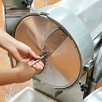 Multifunctionele commerciële industriële groente- en fruitsnijmachine voor bananenchips, aardappelchips, ui en appel.