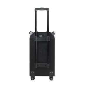 Machine à karaoké 10 ''Trolly Bass Speaker Système de sonorisation Portable Blue Tooth Speaker Party Audio Support TWS/<span class=keywords><strong>REC</strong></span>/AUX IN/MP3/USB/TF/FM - Product Image 4