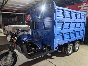 Tricycle Moto Benne 300cc 350cc Très Vendu, Tricycle Moteur Cargo à 9 Roues pour Fret - Product Image 4